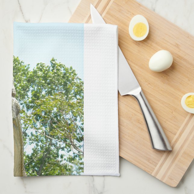 Paño De Cocina Tirannosauro Rex dinosaurio (Doblado Cuarto)