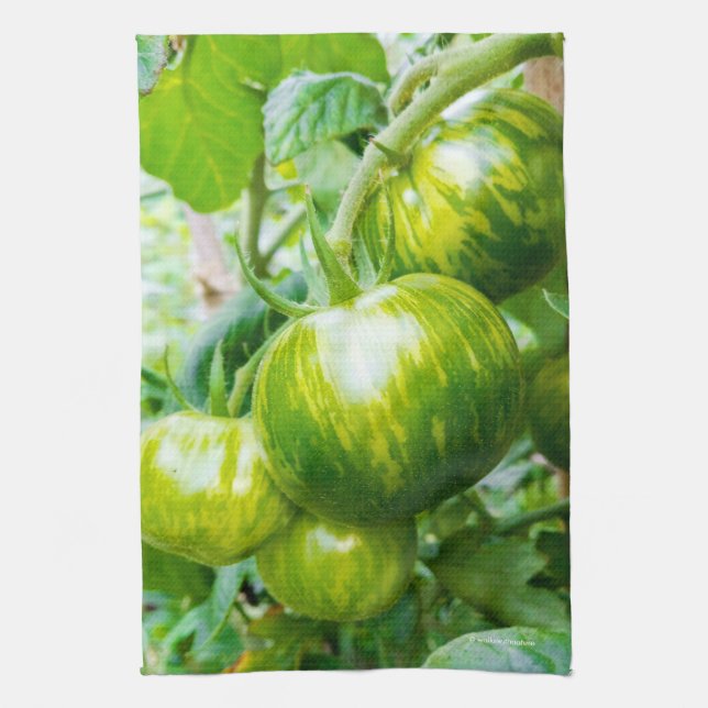 Paño De Cocina Tomates de cebra verde en el vino (Vertical)