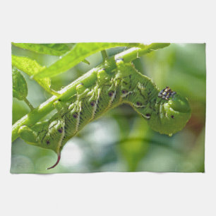 Paño De Cocina Tomato Hornworm