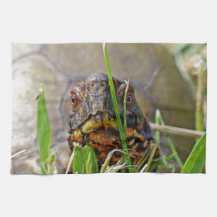 Paño De Cocina Tortuga de caja