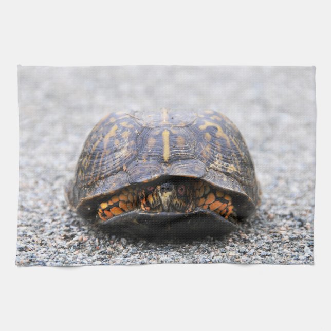 Paño De Cocina Tortuga de caja (Horizontal)