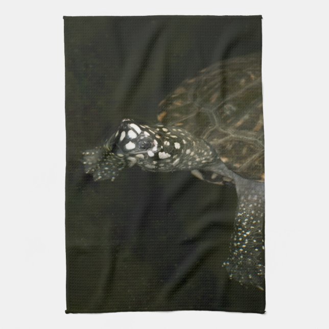 Paño De Cocina Tortuga nadando (Vertical)