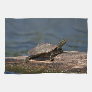 Paño De Cocina Tortuga pintada en un tronco