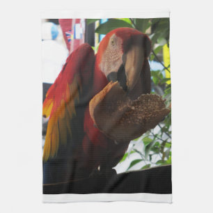 Paño De Cocina Tostada de loro de Macaw escarlata