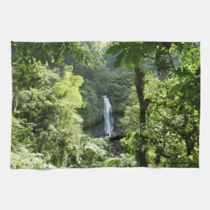 Paño De Cocina Trafalgar cae fotografía tropical de selva tropica