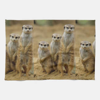 Paño De Cocina tres Erdmaennchen (Suricata suricatta)