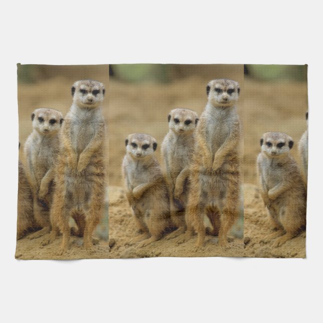 Paño De Cocina tres Erdmaennchen (Suricata suricatta) (Horizontal)