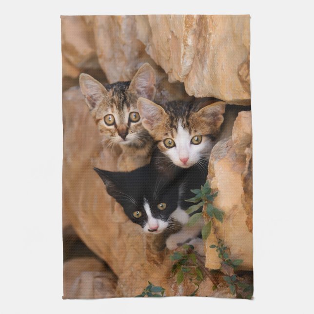 Paño De Cocina Tres gatitos curiosos lindos (Vertical)
