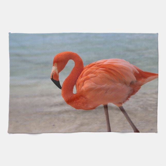 Paño De Cocina Tropical Beaches | Caribbean Flamingo, Aruba (Horizontal)