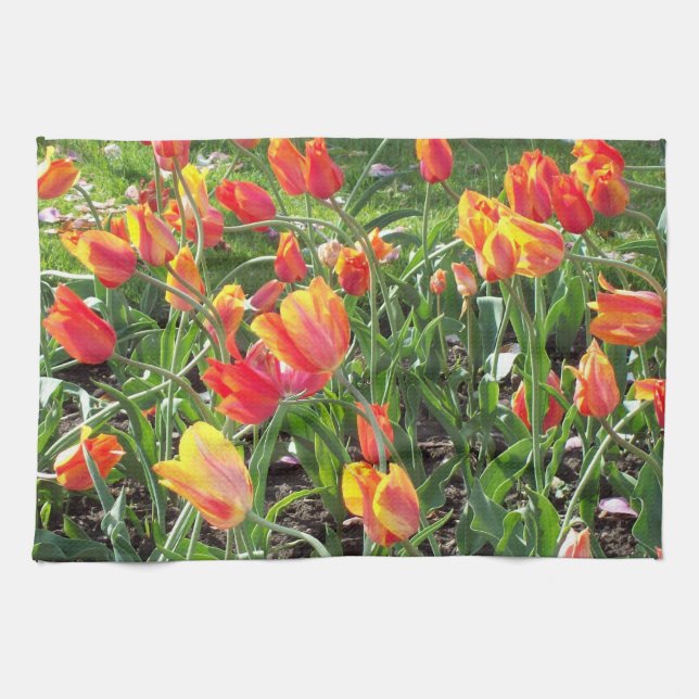 Paño De Cocina Tulipán de primavera (Horizontal)