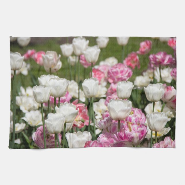 Paño De Cocina Tulipanes blancos y rosas brillantes en un día sol (Horizontal)