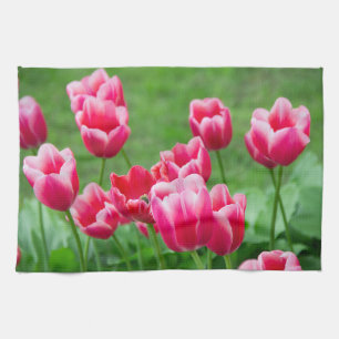 Paño De Cocina Tulipanes escarlata en el jardín