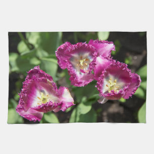 Paño De Cocina Tulipanes morados en el jardín