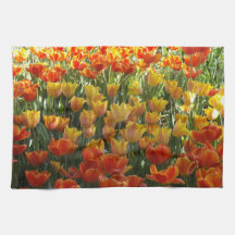 Tulipanes naranja y amarillo