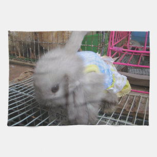 Paño De Cocina Un conejo vestido