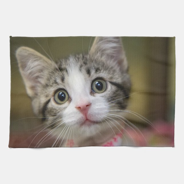 Paño De Cocina Un lindo gatito con ojos verdes (Horizontal)