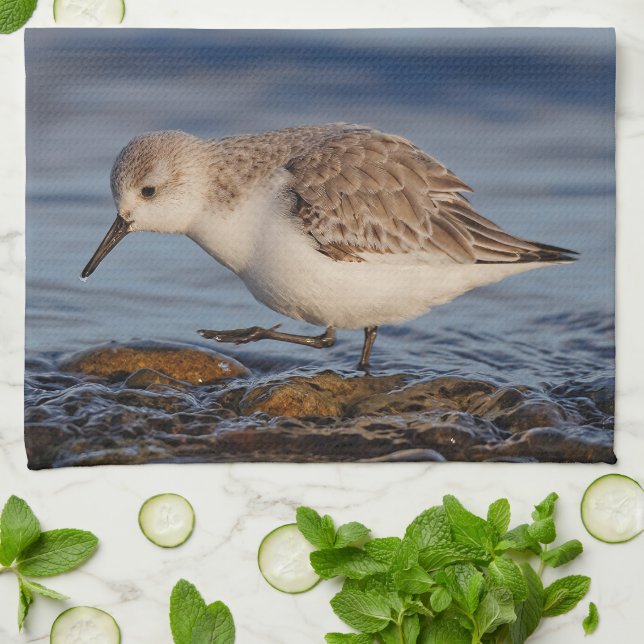 Paño De Cocina Un Sanderling (Doblado)