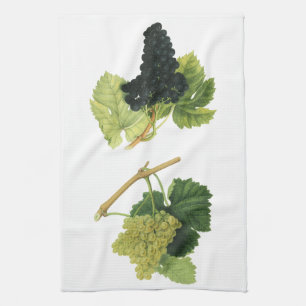 Paño De Cocina Uvas Tintas y Blancas de Vino en una Vid, Fruta