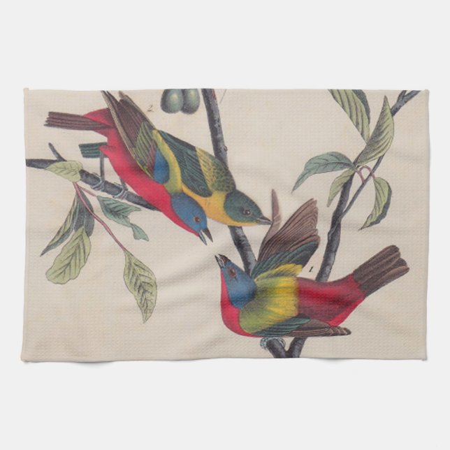 Paño De Cocina Vida silvestre de las aves de Bunting de Audubon (Horizontal)