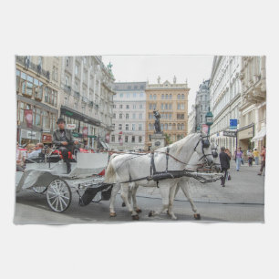 Paño De Cocina Viena Austria