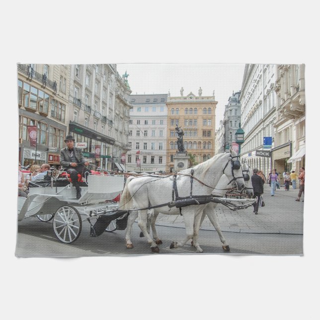 Paño De Cocina Viena Austria (Horizontal)