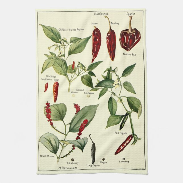 Paño De Cocina Vintage Chili Peppers Ilustraciones botánicos (Vertical)