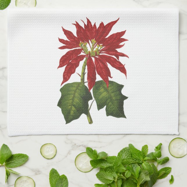 Paño De Cocina Vintage Christmas, Red Poinsettia WinPlanta (Doblado)