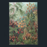 Paño De Cocina Vintage Ernst Haeckel Moss Poster Funda-Mate iPhon<br><div class="desc">Vintage Ernst Haeckel Moss</div>