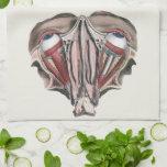 Paño De Cocina Vintage Human Anatomy Science, Eyeballs Eyes<br><div class="desc">Ilustracion vintage sanidad humana y dibujo de anatomía con una acería de dos ojos con vasos sanguíneos,  venas,  ligamentos,  tendones y músculos. Vista desde arriba con la estructura muscular de los enchufes de los ojos. Gran diseño para los expertos en ciencia y biología.</div>