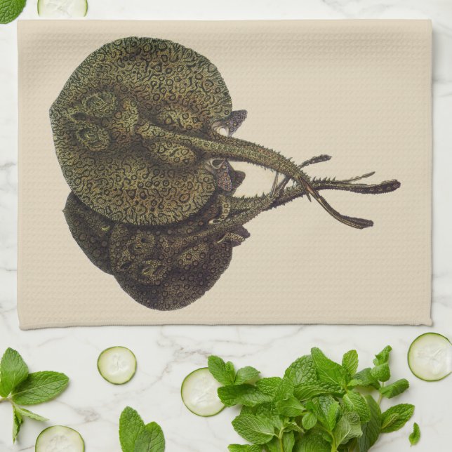 Paño De Cocina Vintage Stingrays, animales marinos (Doblado)