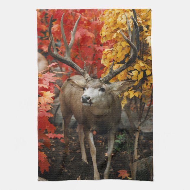 Paño De Cocina Whitetail en otoño (Vertical)