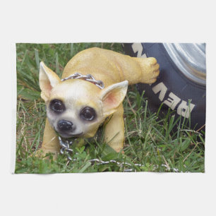 Paño De Cocina Whiz Kid