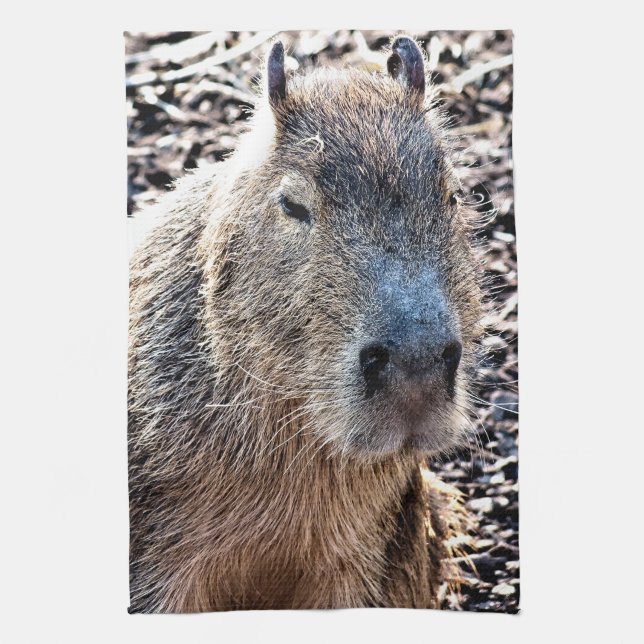 PAÑO DE COCINA WILD ANIMAL CAPYBARA (Vertical)
