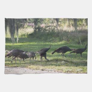 Paño De Cocina Wild Turkey Group en la fotografía de la hierba