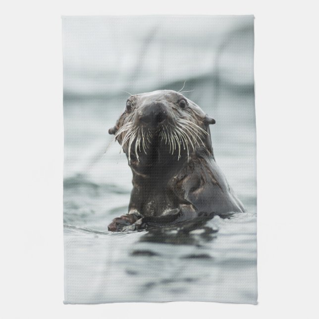 Paño De Cocina Wise Otter (Vertical)