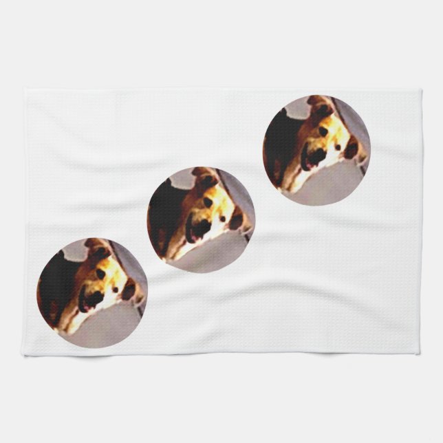 Paño De Cocina Woofs N' Wags (Horizontal)