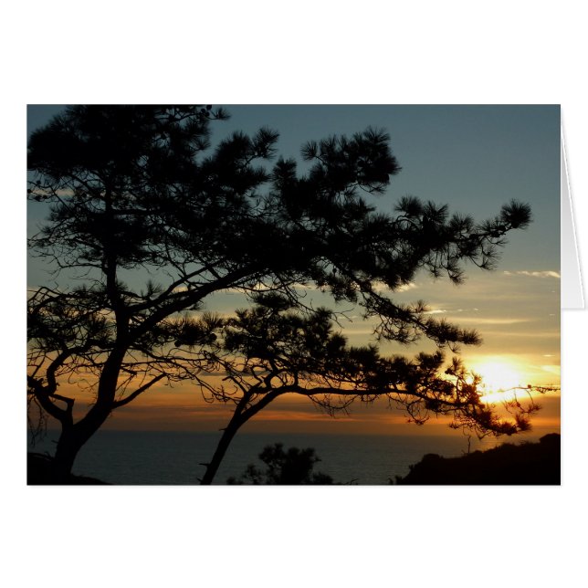Panorama de Torrey Pine Sunset (Anverso (Horizontal))