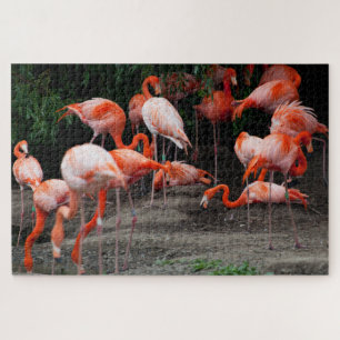 Panorama tropical escénico Flamingo Rompecabezas