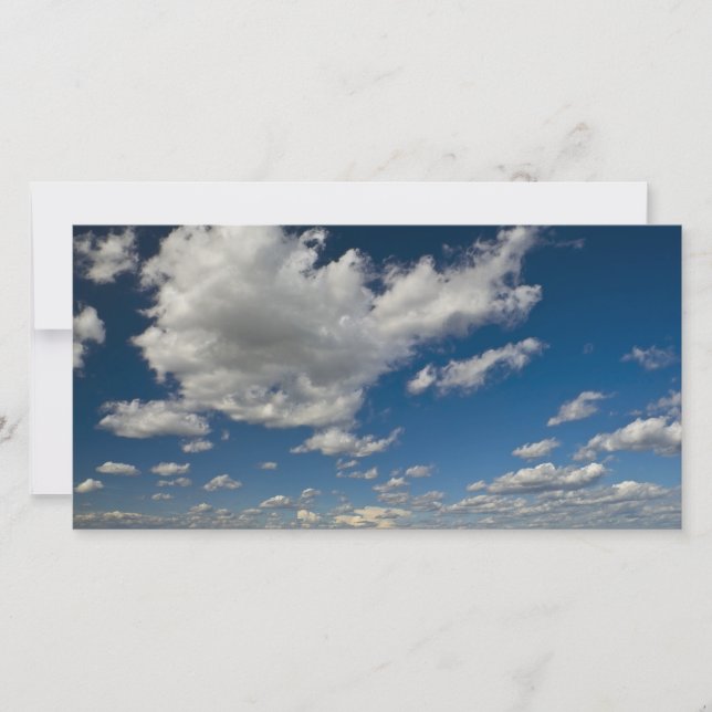 panorámica (Anverso)