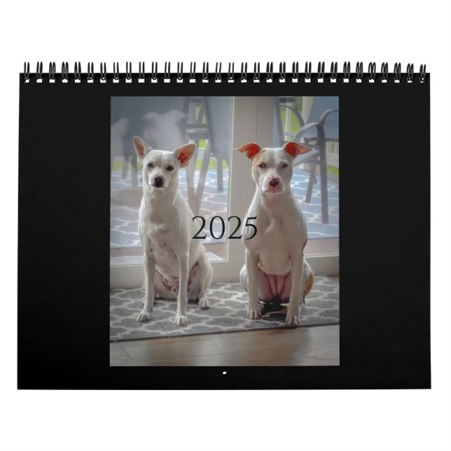 Panqueque y batido de leche, calendario medio (Tapa)