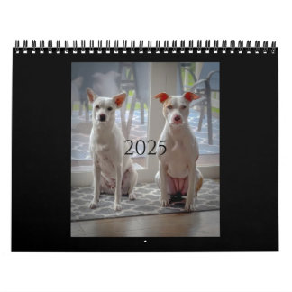 Panqueque y batido de leche, calendario medio