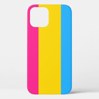 Pansexual bandera iPhone 12 funda