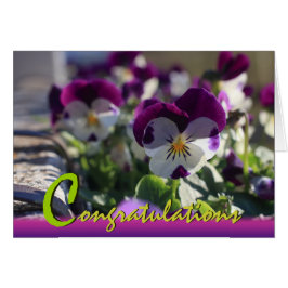 Pansies CC0473  Flower Celebration Card