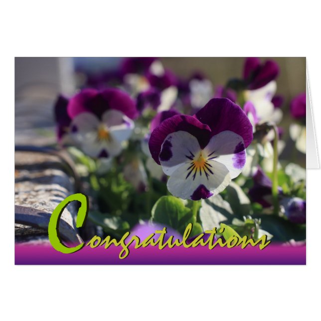 Pansies CC0473  Flower Celebration Card (Anverso (Horizontal))