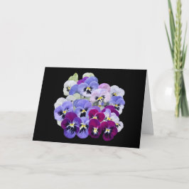 Pansies en un fondo negro gracias