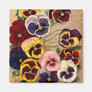 Pansies imanes de paquetes de semillas