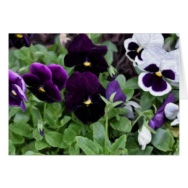Pansies / pintura, tarjeta (Anverso (Horizontal))
