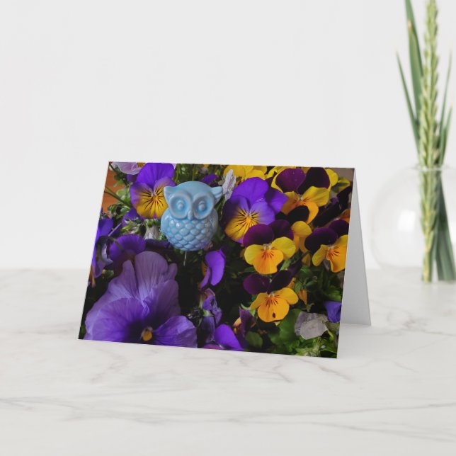 Pansies y tarjeta de búho (Anverso)
