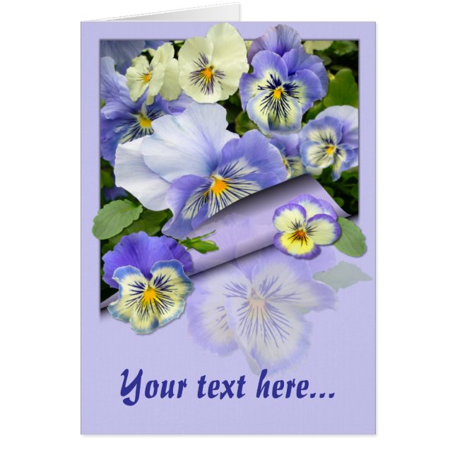 PANSY PASTEL ~ Card (Frente)