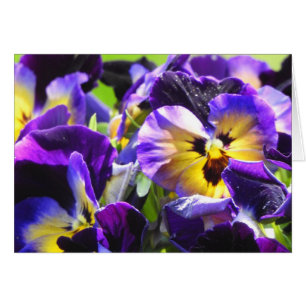 Pansy Small Gracias Cards, Small (4" x 5,6")